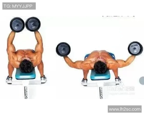 家庭哑铃训练指南如何在家有效塑造肌肉与增强体能